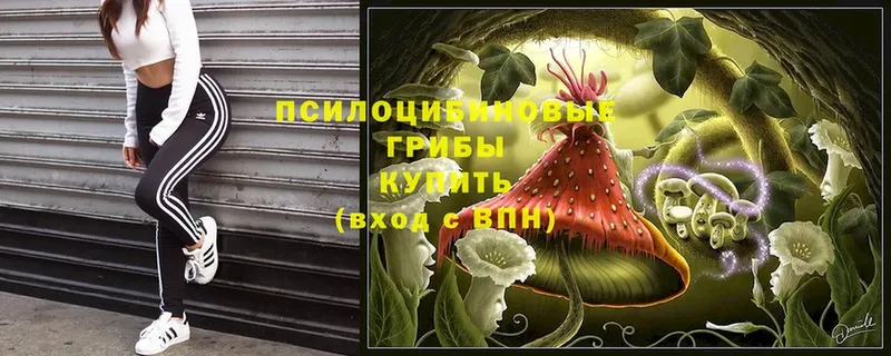 Галлюциногенные грибы MAGIC MUSHROOMS  shop состав  Жуковский  купить наркотик 